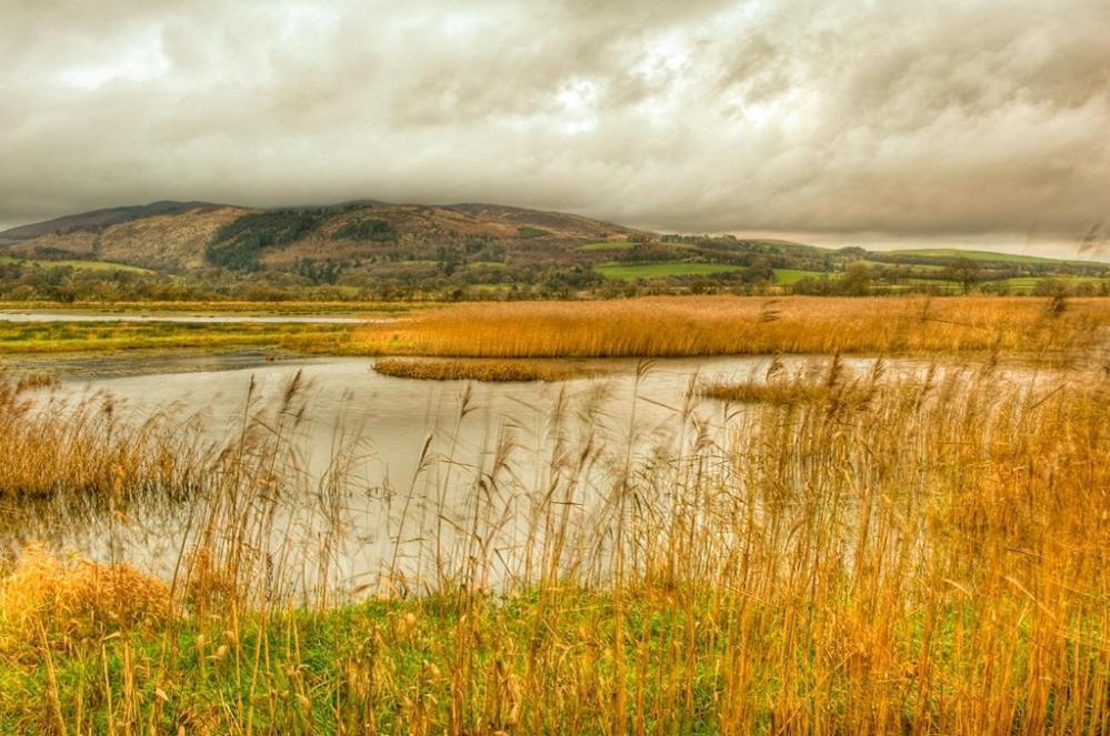 Shelduck Cottage Mainsriddle Экстерьер фото